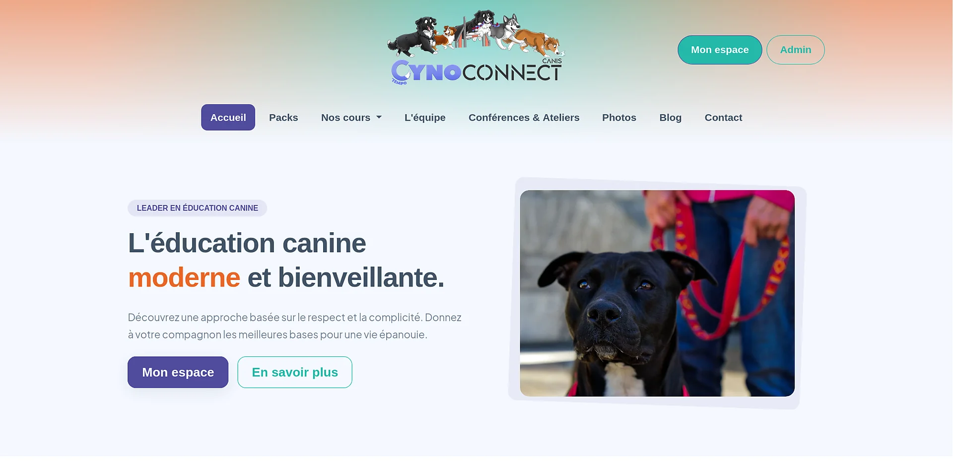 Aperçu du site Cyno'Connect